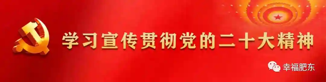 12345热线最新回应！来看看有没有你关心的问题……