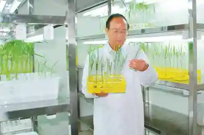 从事杂交水稻育种近50年 谢华安：毕生目标是让大家吃得好