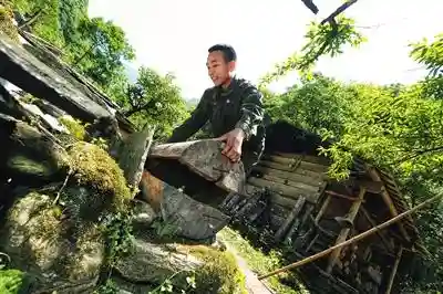 支付宝 助力2万瓶深山蜂蜜一抢而空